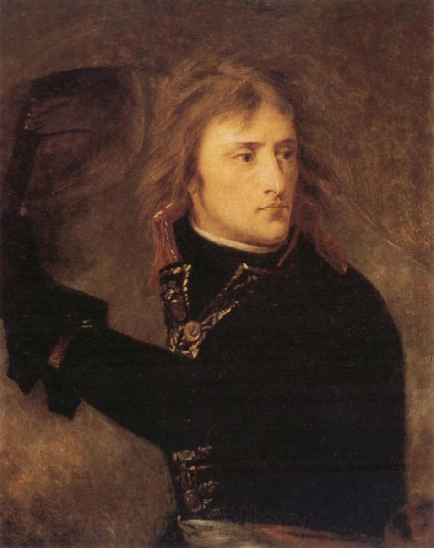 Baron Antoine-Jean Gros Napoleon at Arcola Spain oil painting art
